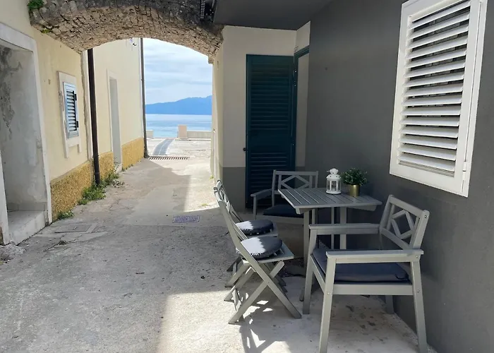 Ena Diva 자오스트로그